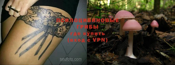 мескалин Абинск