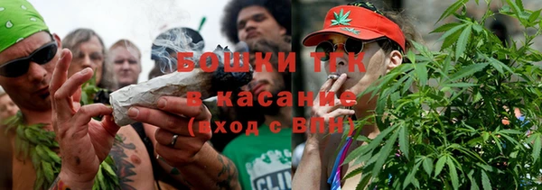 крисы Алексин