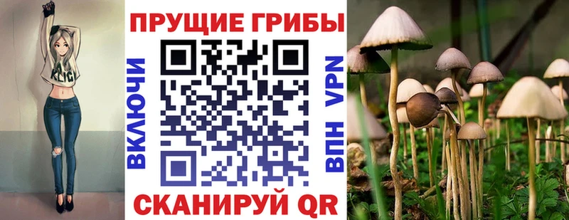 Псилоцибиновые грибы мицелий Октябрьский